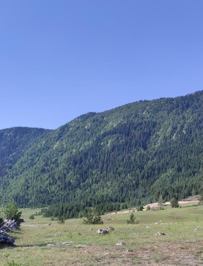 Mountain Peace Cottage Žabljak Zewnętrze zdjęcie