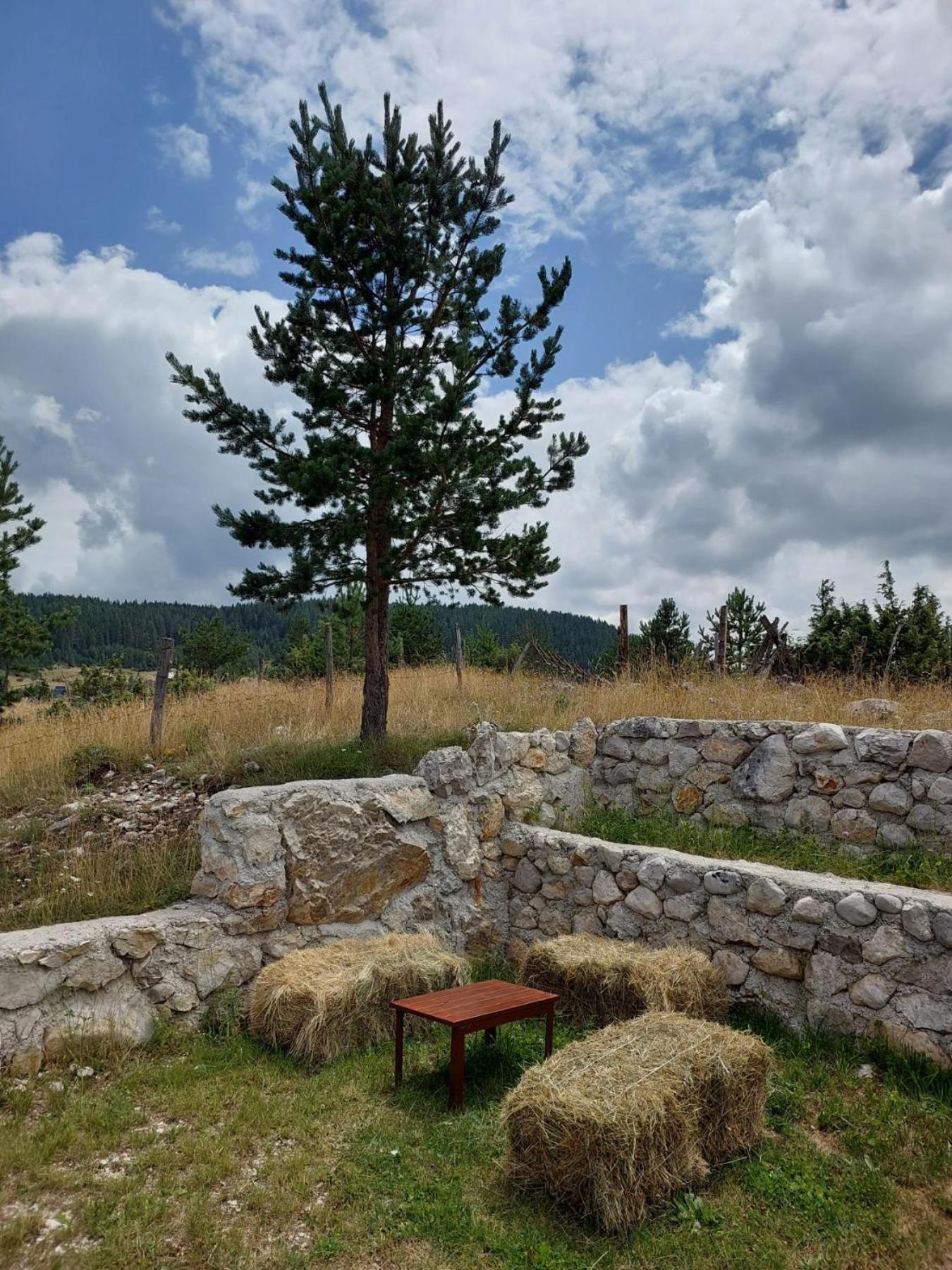 Mountain Peace Cottage Žabljak Zewnętrze zdjęcie